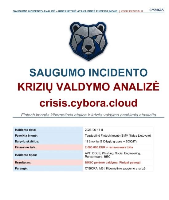 Sample crisis management analysis report